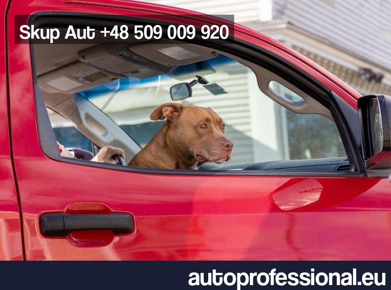 Które auta rdza atakuje najczęściej?